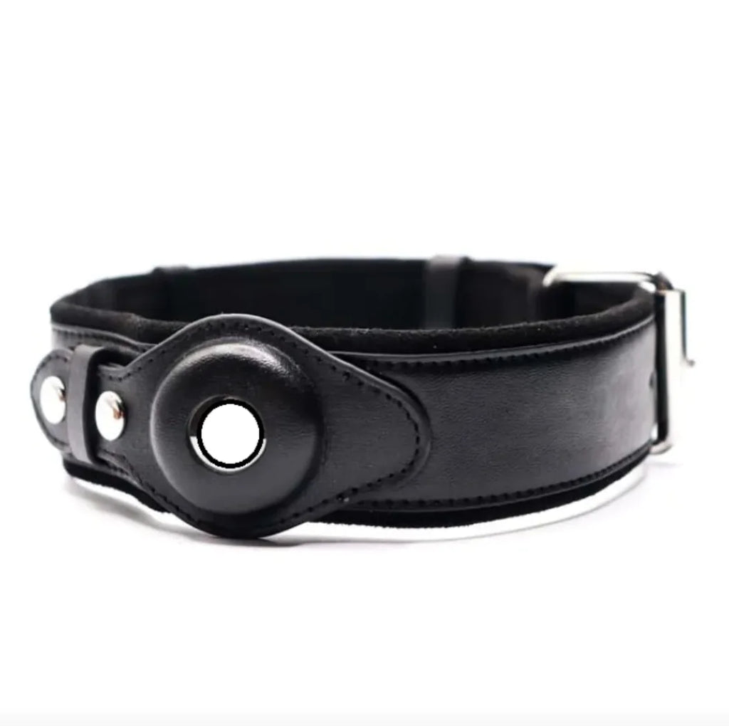 Leather Dog Collar with Location Tracker